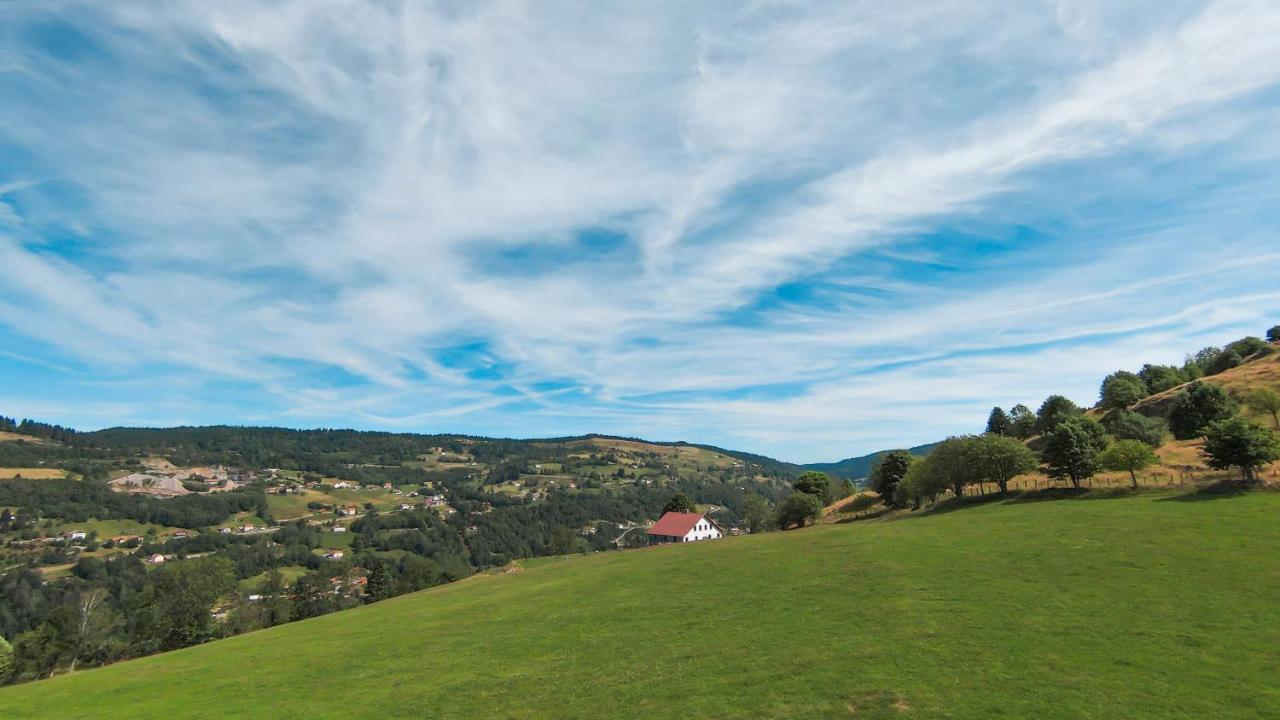 Gites De Moyenmont 拉布雷斯 外观 照片