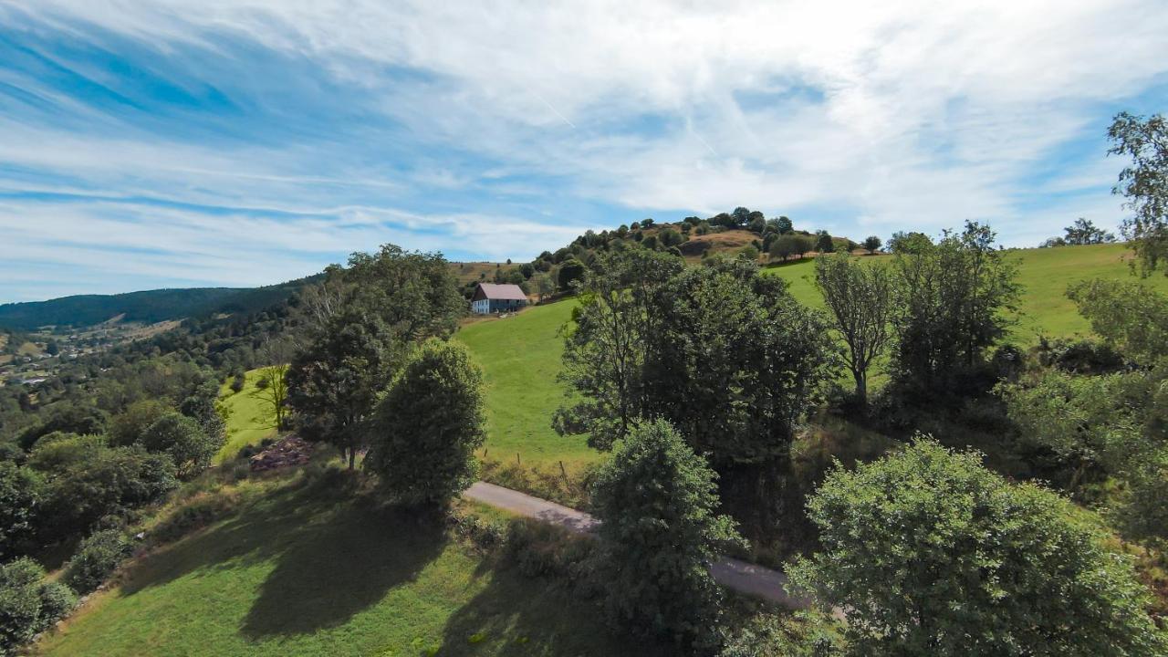 Gites De Moyenmont 拉布雷斯 外观 照片